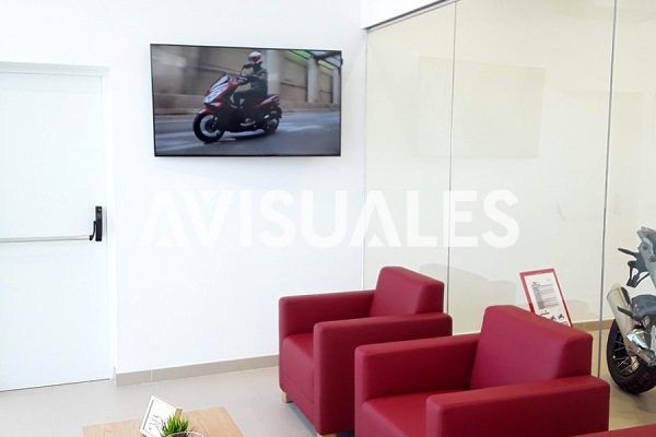 CONCESIONARIO HONDA TF 6-min