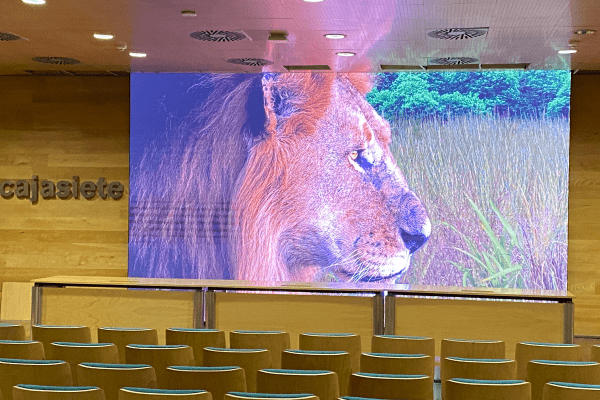 pantalla LED interior